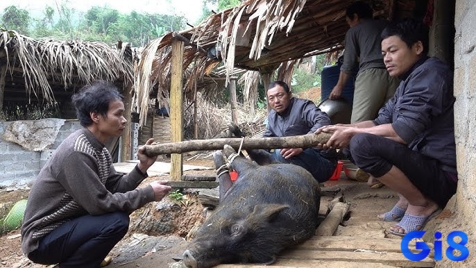 Giấc mơ giết trâu giúp ta hiểu sâu hơn về sự thay đổi, hy sinh và những mất mát trong cuộc sống.