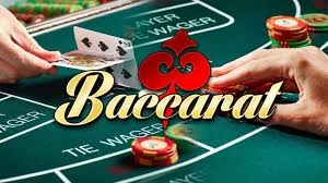 Thuật ngữ Baccarat cơ bản nhất dành cho người mới bắt đầu