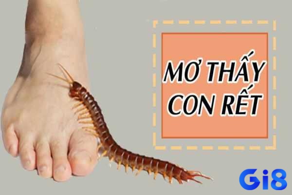 Mơ thấy con rết đánh số gì - Mơ thấy con rết là điềm tốt hay xấu