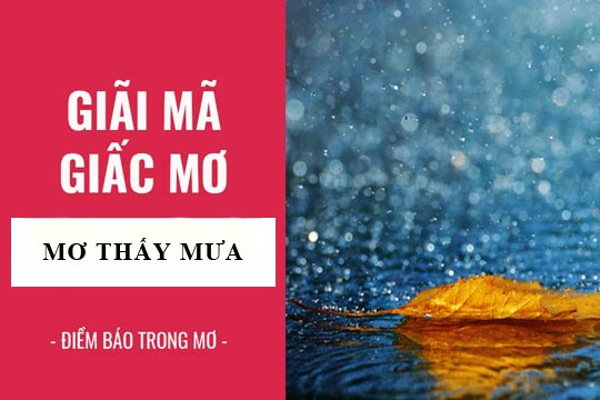 Mơ thấy trời mưa đánh đề con gì? Giải mã điềm báo, ý nghĩa