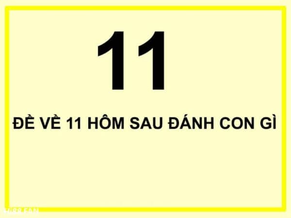 Mơ đề về 11 đánh con gì? Đầy là điềm báo tốt hay xấu?