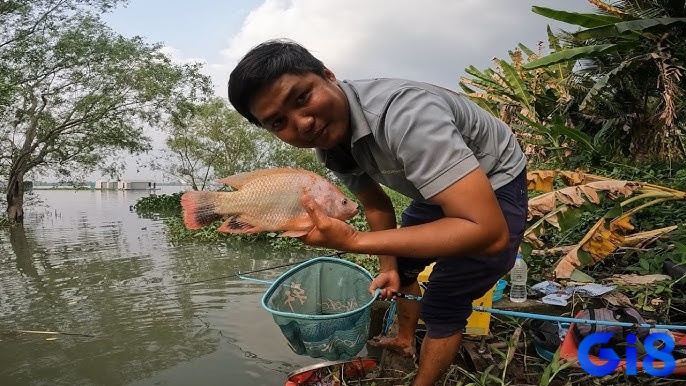 Mơ thấy bắt cá trong ao hồ là dấu hiệu của sự may mắn và tài lộc sắp đến