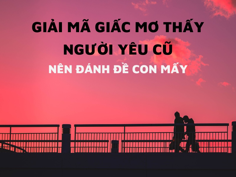 Mơ thấy người yêu cũ đánh con gì? Đây là điềm báo gì?